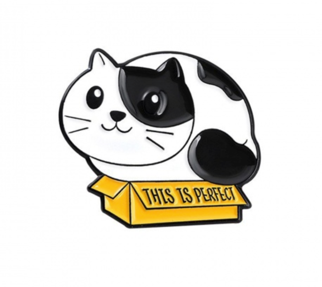 Cat in a Box Pin